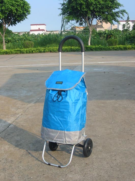 Folding shopping trolley with bag