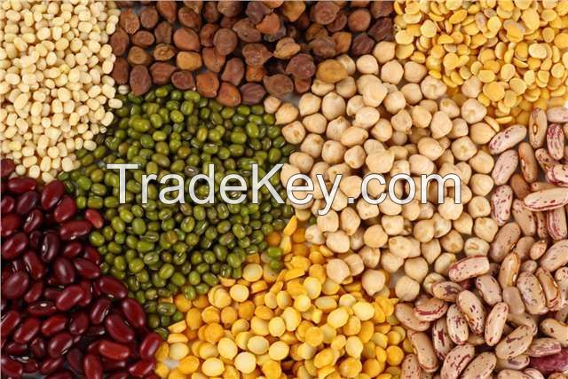 legumes