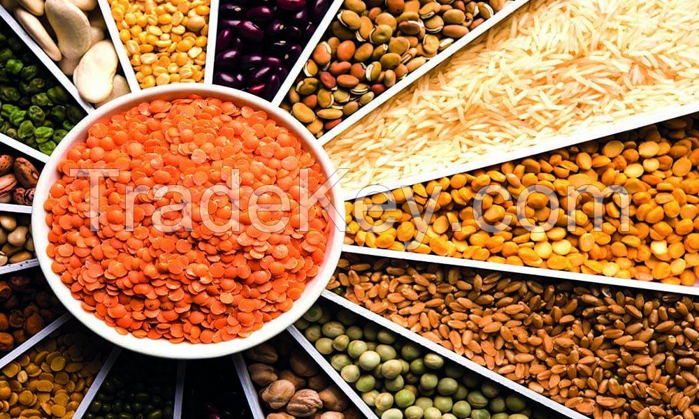 Legumes