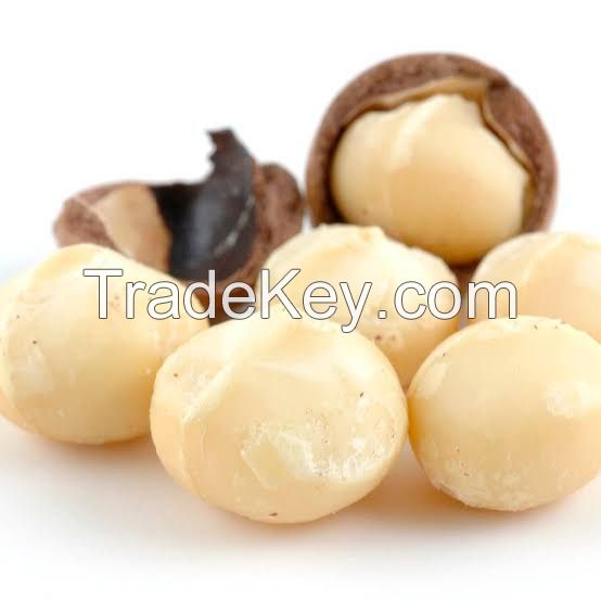 Macadamia