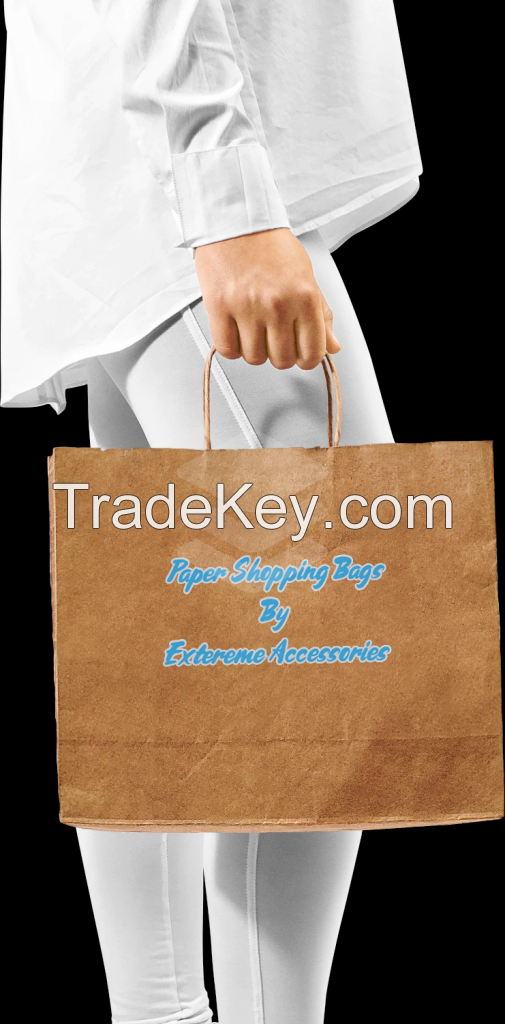 17 L X 13 W Virgin Kraft Paper Bag