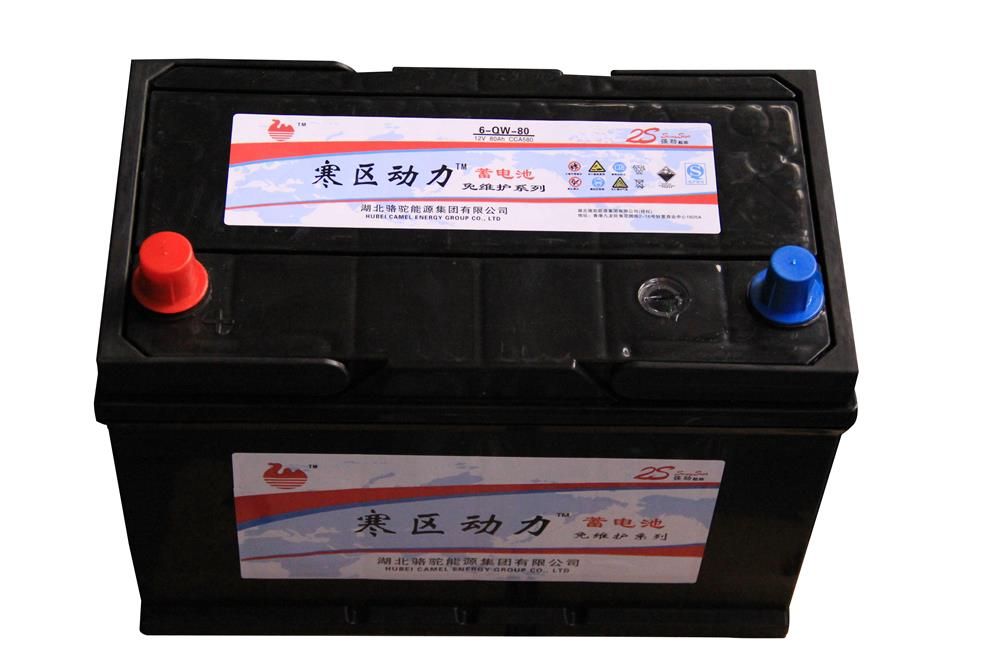 Professional 6-QW-45 12V 45Ah maintenance free car battery from