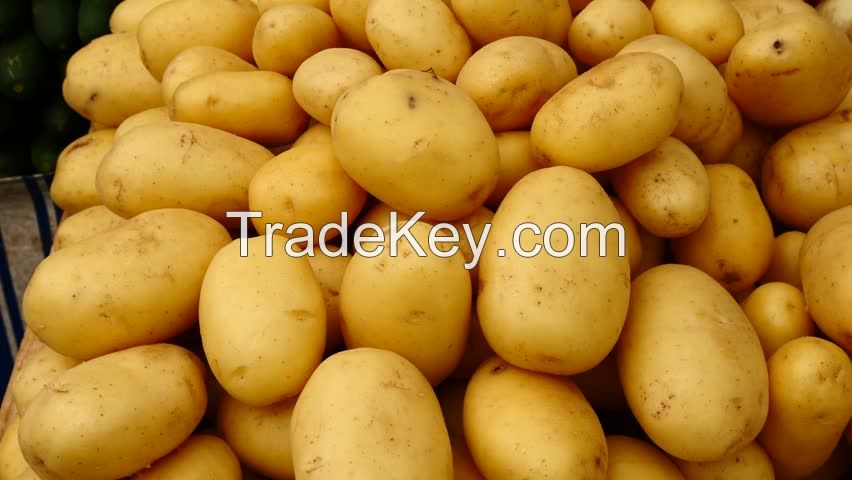 Fresh Potatoes