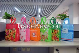 Non Woven Bags