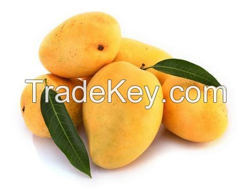 mangoes