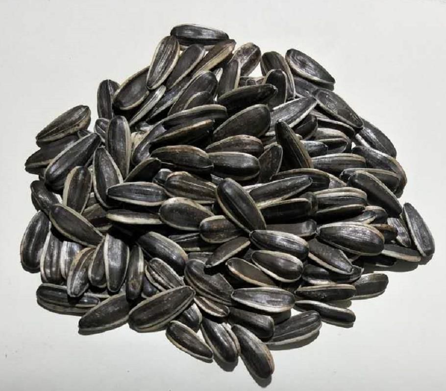 361 black sunflower seeds