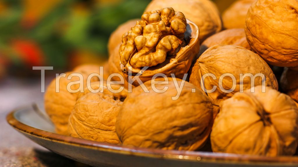walnut inshell