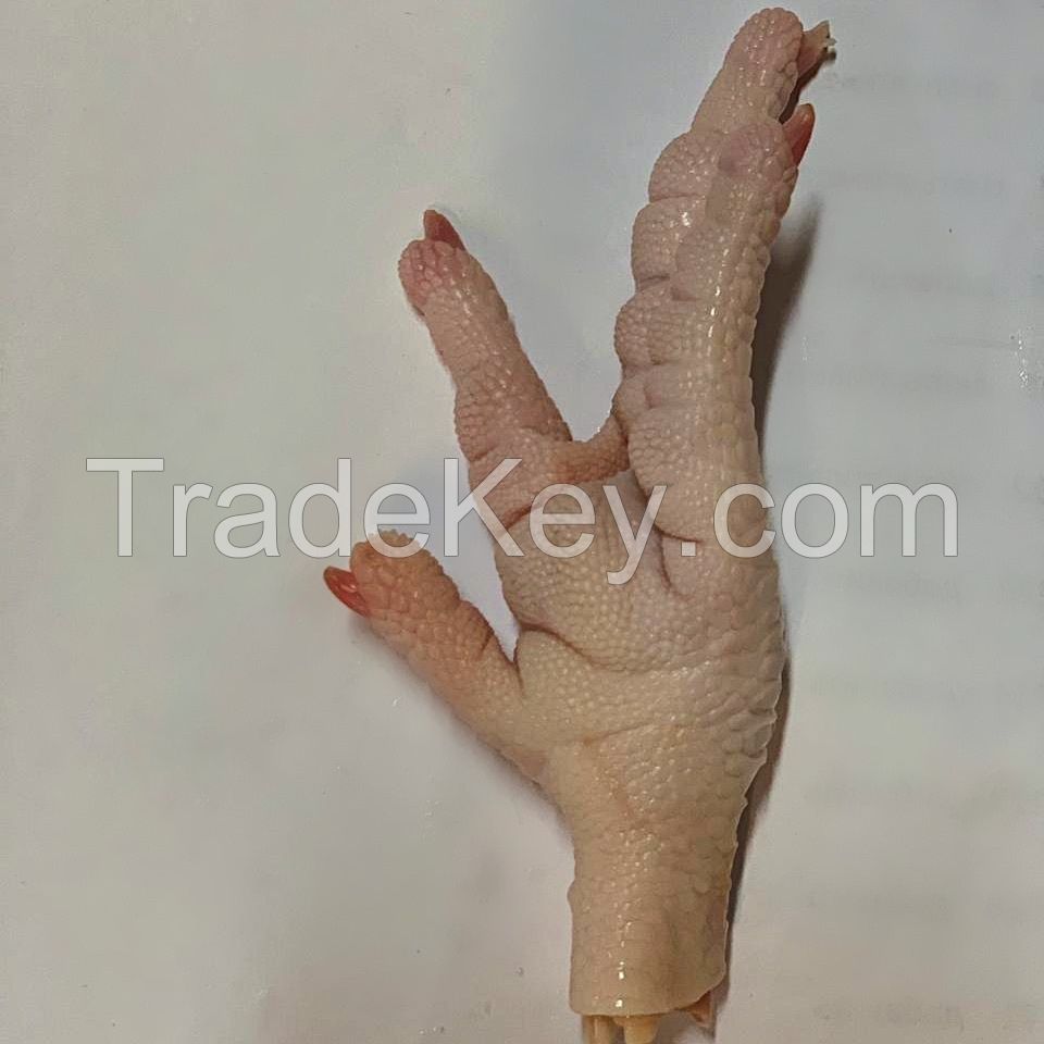 Chicken paws Grade A+