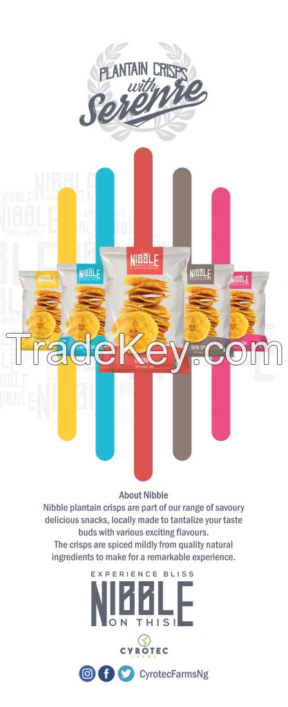 Nibble De-Oiled Plantain Chips