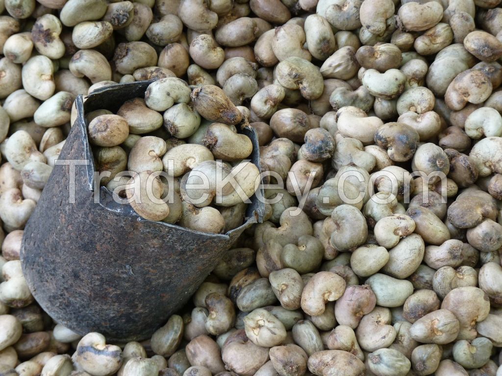 Cashew Nuts