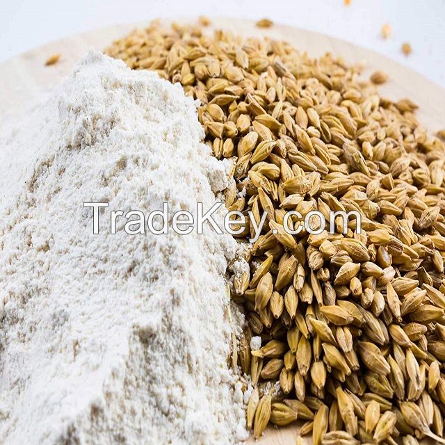 High Quality  Barley Flour