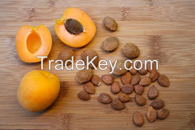 Apricot kernels