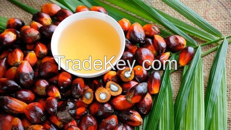 Palm Oil