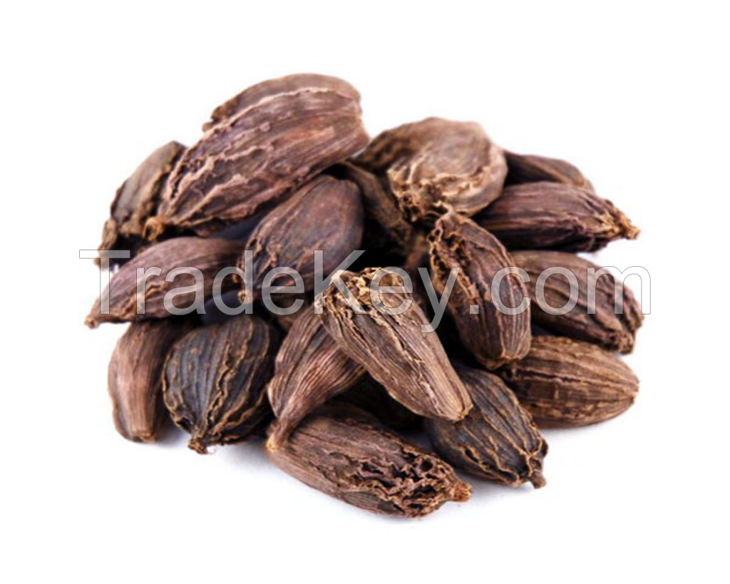 Black Cardamom