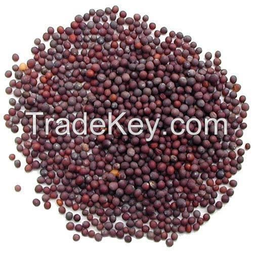 BLACK MUSTARD SEEDS