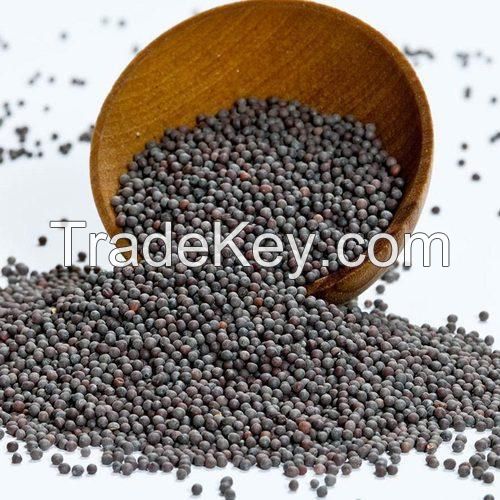 BLACK MUSTARD SEEDS