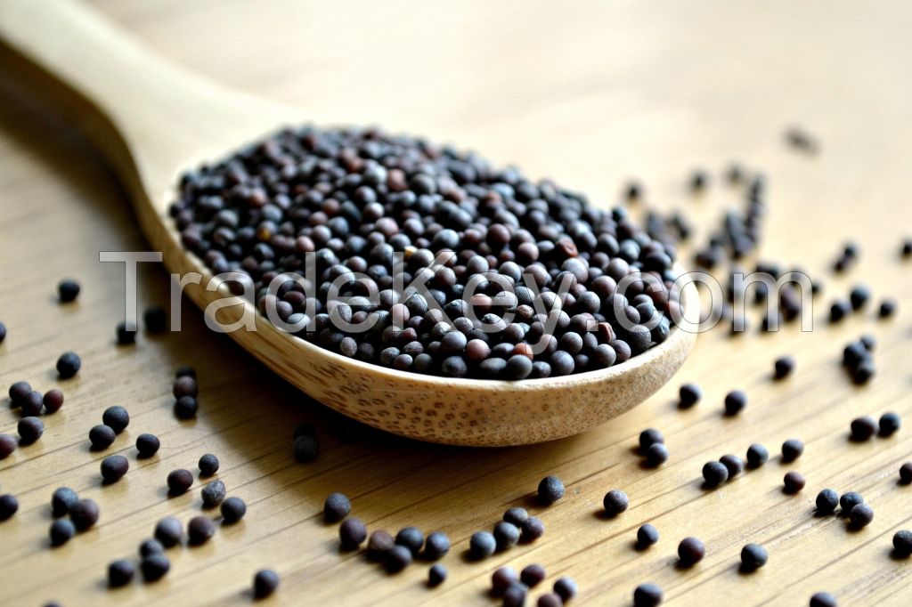 BLACK MUSTARD SEEDS