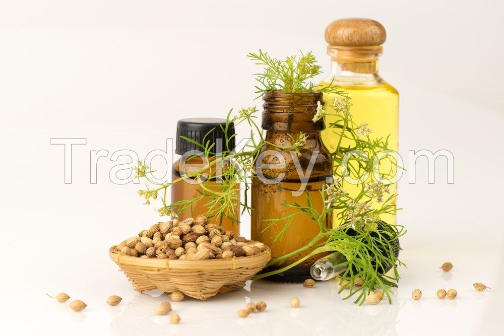 Coriander Oil