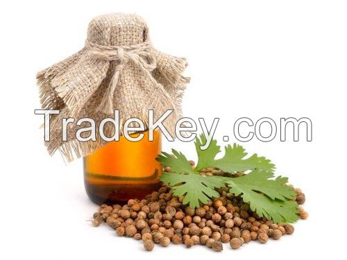 Coriander Oil