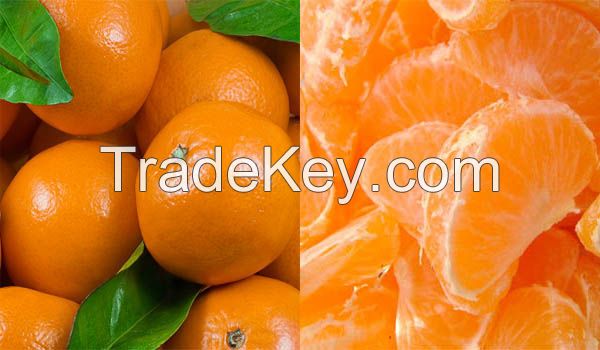 Kinnow ( Oranges )