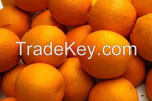 Sweet Oranges