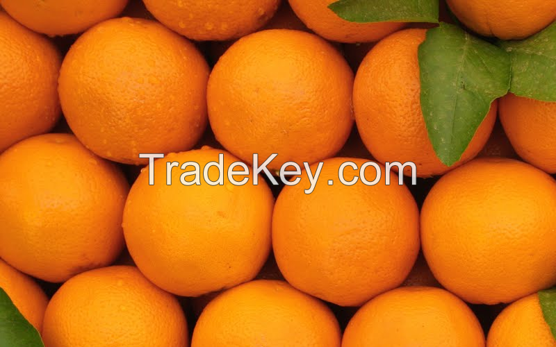 Sweet Oranges