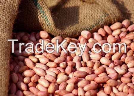 Peanut Kernels (High Quality)