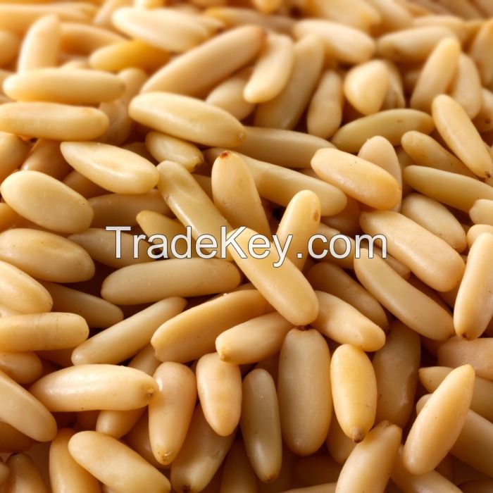 Pine Nuts Kernel (High Quality)