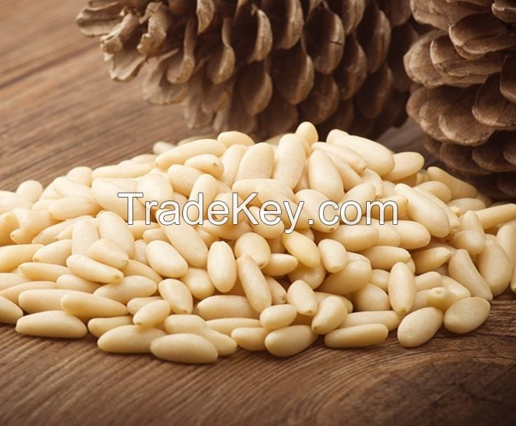 Pine Nuts Kernel (High Quality)