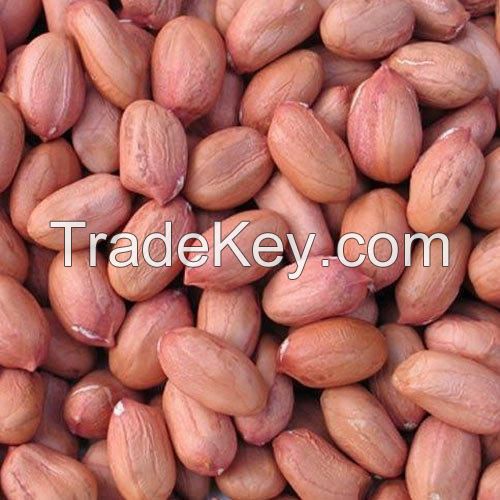 Peanut Kernels (High Quality)