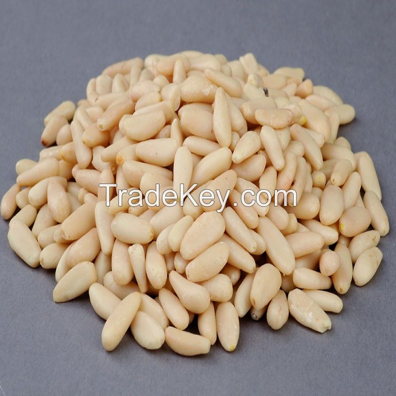 Pine Nuts Kernel (High Quality)