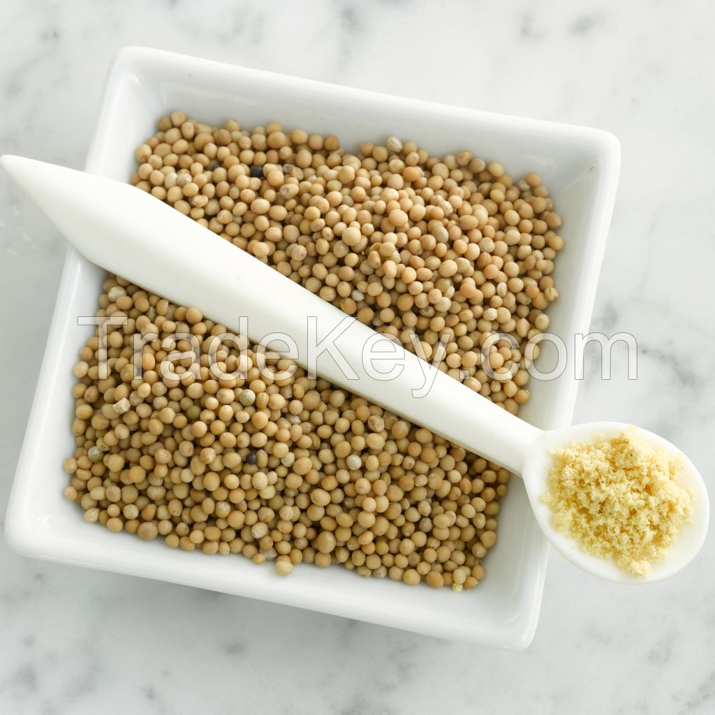 MUSTARD SEEDS