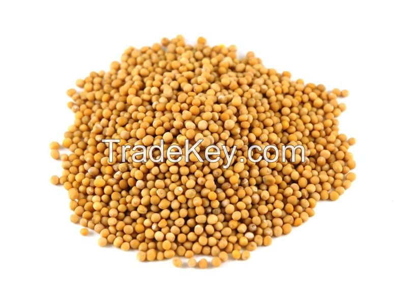 MUSTARD SEEDS