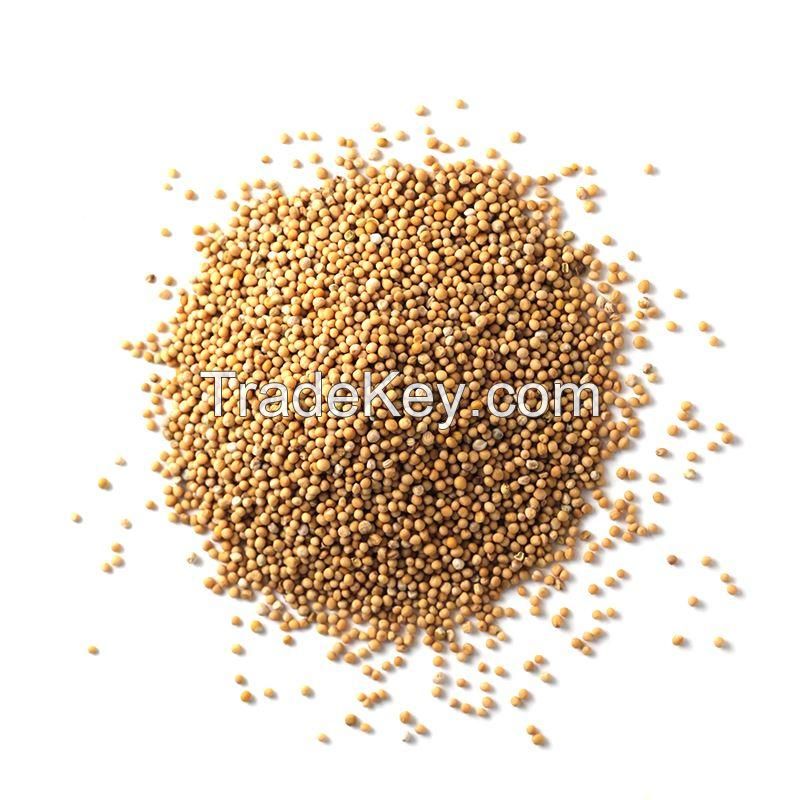 MUSTARD SEEDS