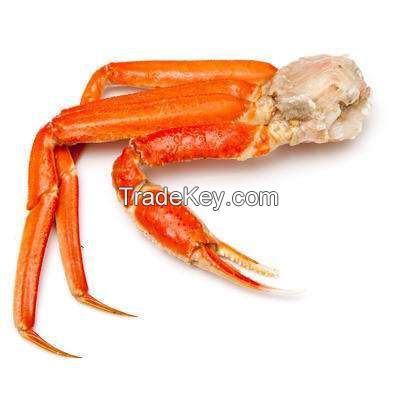 frozen Snow crab leg