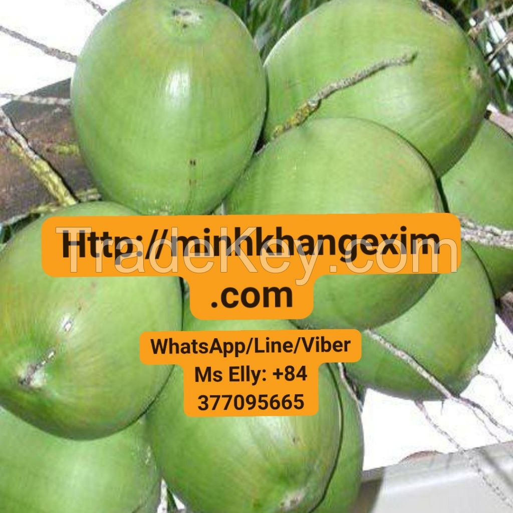 Vietnam Fresh Young Green Coconut