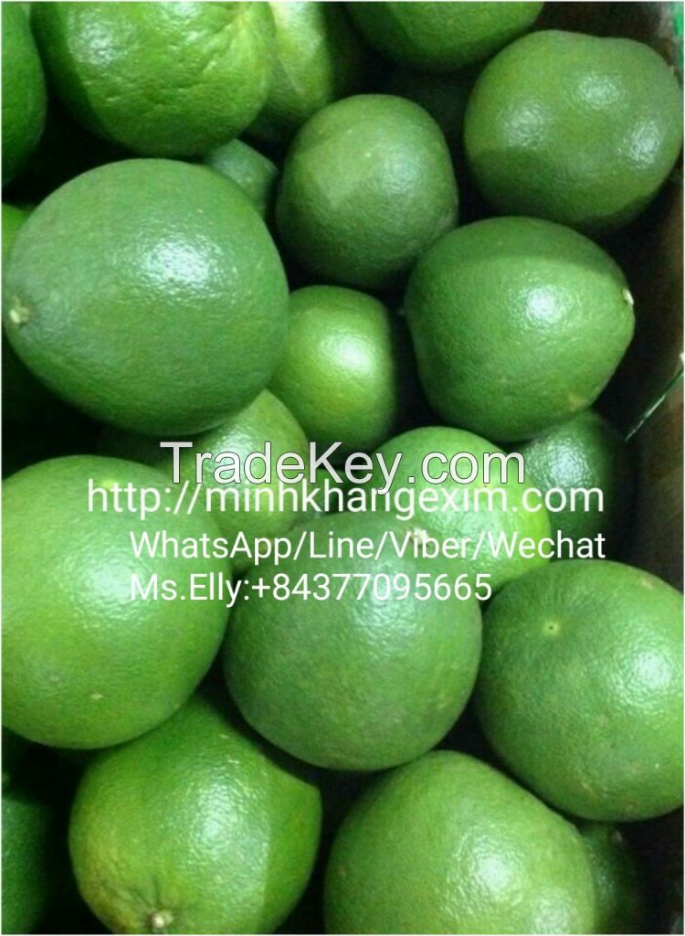 Fresh Seedless Lime