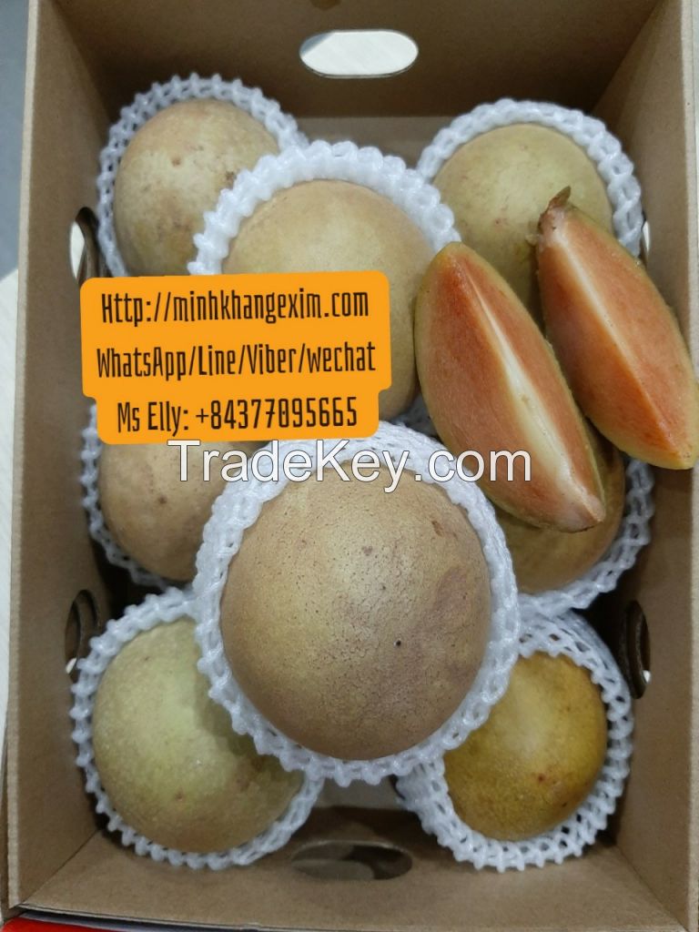 Fresh Chiku/Sapodilla Fruit From Vietnam