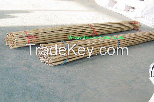 Natural dry bamboo canes for farm vegetable supporting
