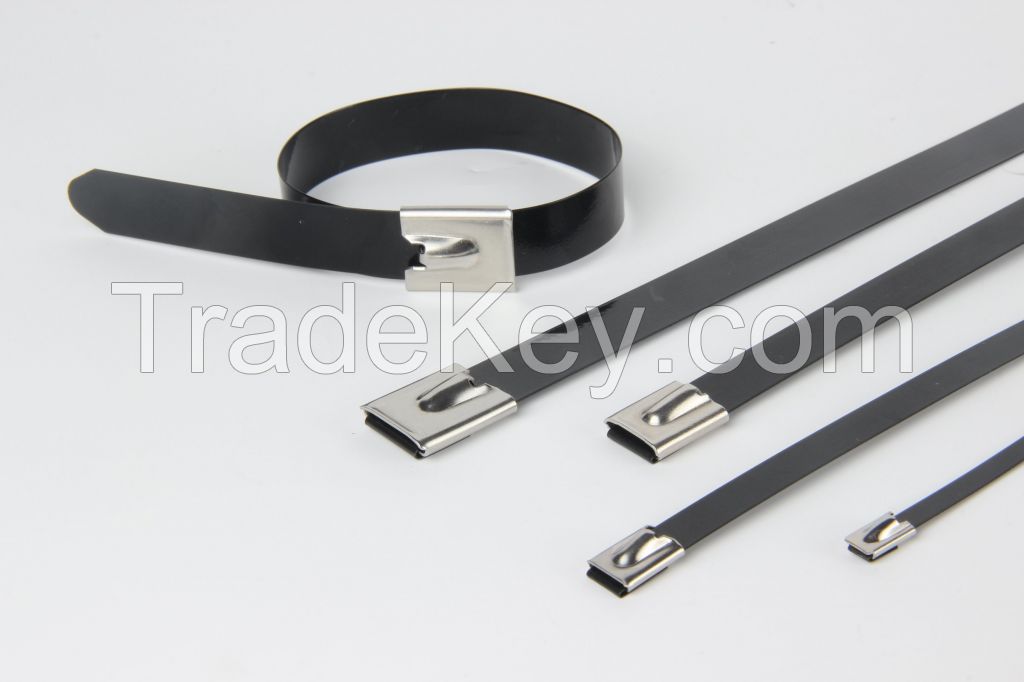 Candour SS Cable Ties