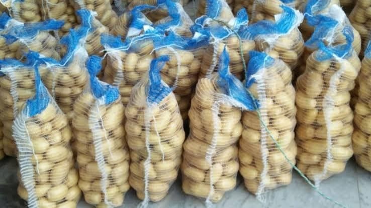 HOT OFFER !!!! NEW HARWEST FRESH POTATOS JUST 28/PKR PER KG