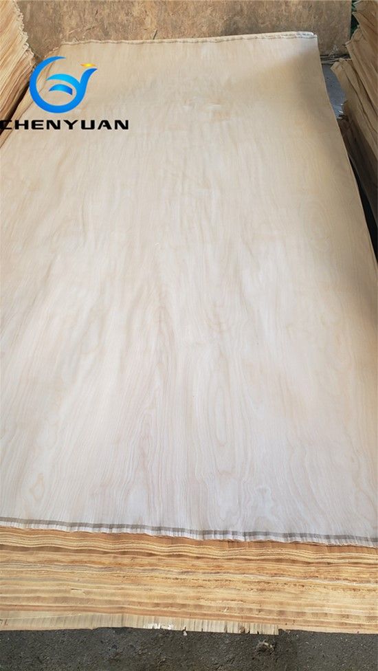 0.3mm white birch veneer