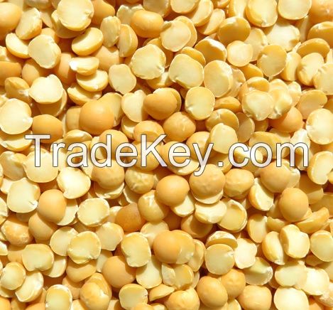 Yellow pea