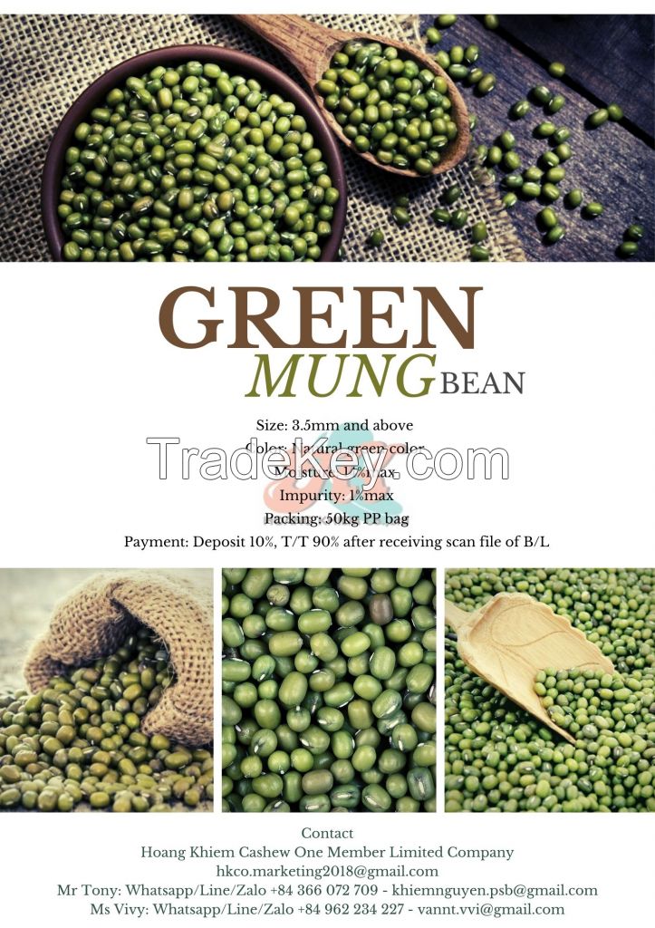 Indonesia High Quality Mung Bean