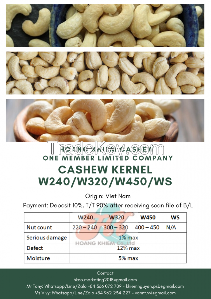 Viet Nam Cashew Kernels W240/W320/W450/WS