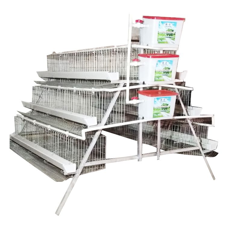 High quality wire mesh chicken cages with automatic chicken feeding system