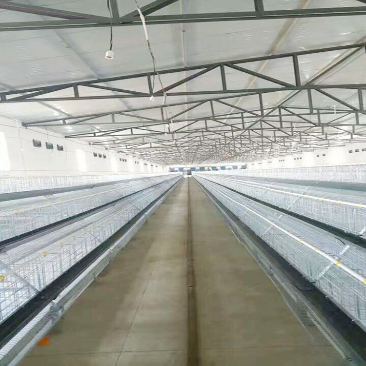 High Capacity 96/120/128/168 Birds Egg Laying Chicken Cage For Zambia