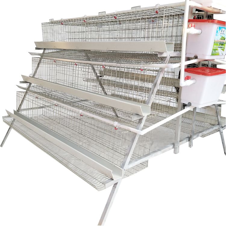 High capacity 96/120/128/168 birds egg laying chicken cage for zambia