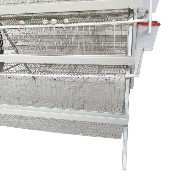 High Capacity 96/120/128/168 Birds Egg Laying Chicken Cage For Zambia