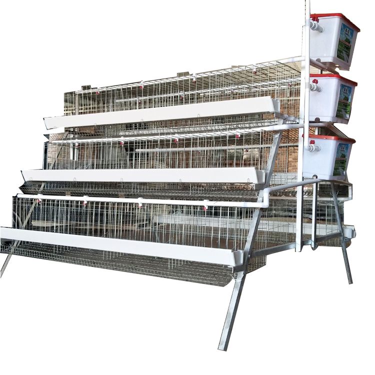 A type 3/4 layers  poultry chicken layer cage for sale